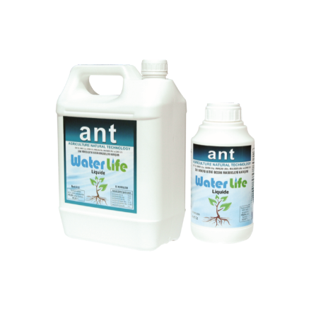 Ant Waterlife Liquide (Sıvı) resmi