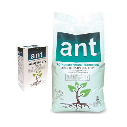 Ant Houmphos Dry (Toz) resmi