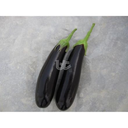 Bt Karaman F1 Patlıcan Tohumu resmi