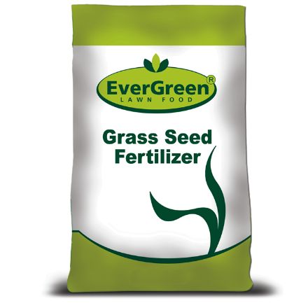 25-5-15+12 So3 Evergreen Çim Besleme Gübresi (20 Kg) resmi