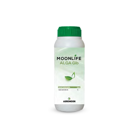 Moonlife Alga Gib resmi