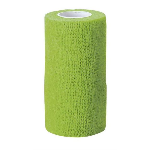 Yeşil Ekonomik Yapışkanlı Bandaj 10 cm x 4.5 m resmi