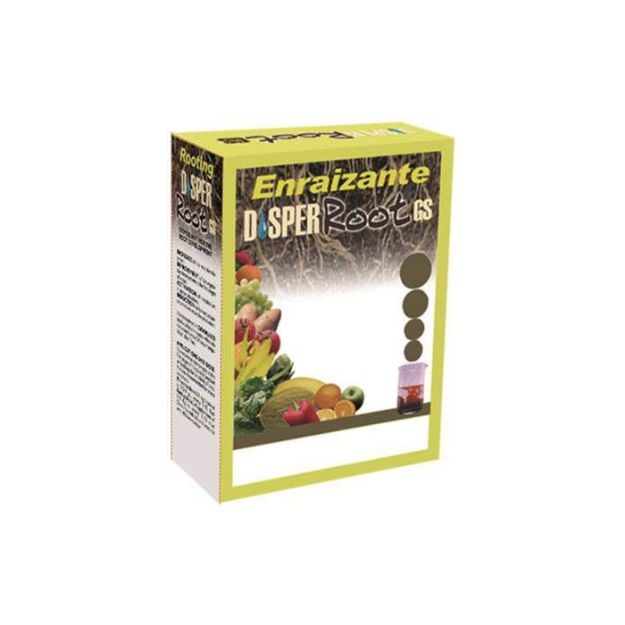 Disper Root Gs resmi