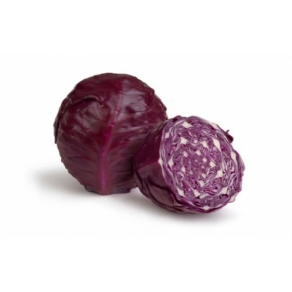 Alex F1 Kırmızı Lahana Tohumu resmi