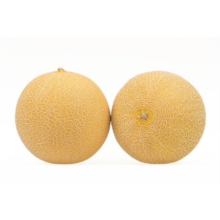 Balözü F1 Kavun Tohumu (Galia) resmi