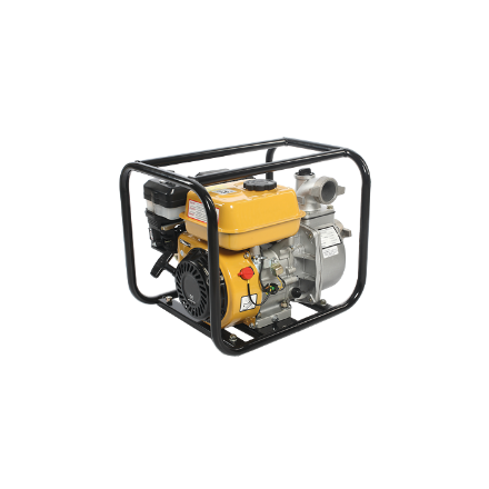 Pa250T 5,5Hp Su Motoru (Benzinli) resmi