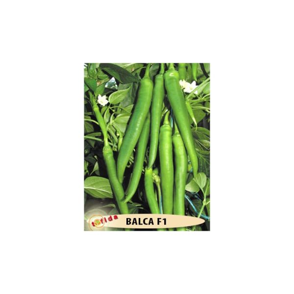 Balca F1 (Tatlı Sivri) Biber Fidesi 456'Lık Viyollerde resmi