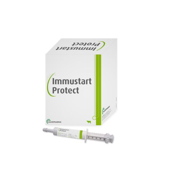 Immustart Protect resmi