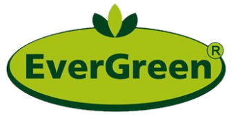 Evergreen üreticisi resmi
