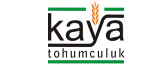 Kaya Tohum
