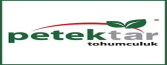 Petektar