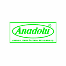 Anadolu Tohum Fide