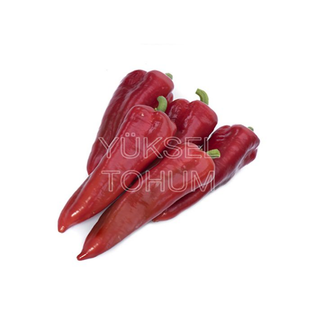 Acuka F1 Kapya Biber Tohumu resmi