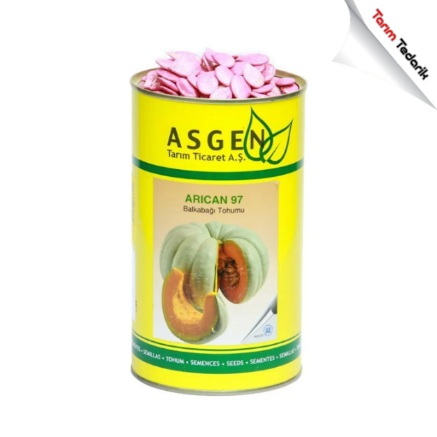 Bal Kabağı - Arıcan 97 Kabak Tohumu resmi