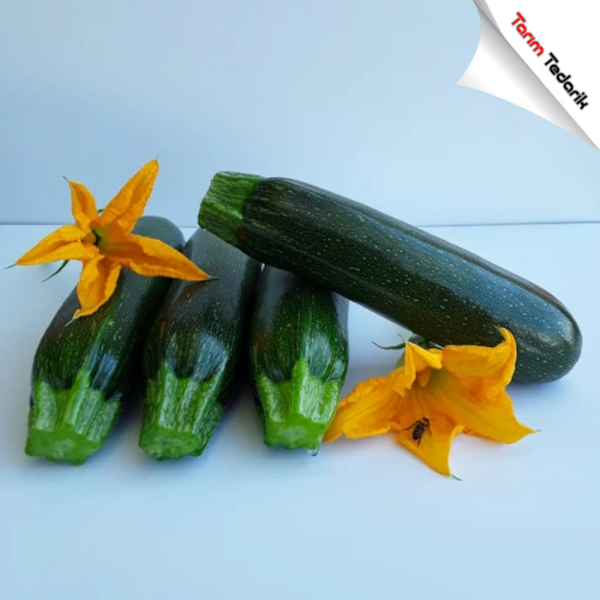 İnci F1 Kabak Tohumu resmi