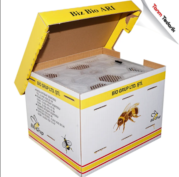 Bombus Arısı Kovan  resmi