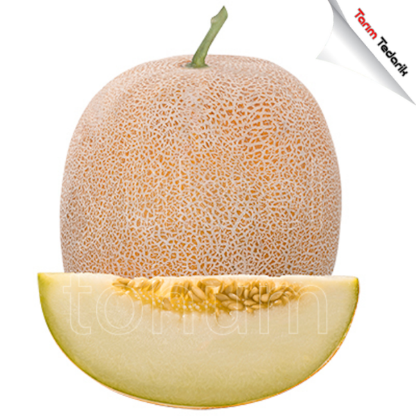 Kehribar F1 Kavun Tohumu (Ananas) resmi
