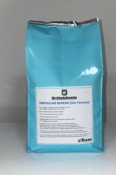 TRİFOLİUM REPENS resmi