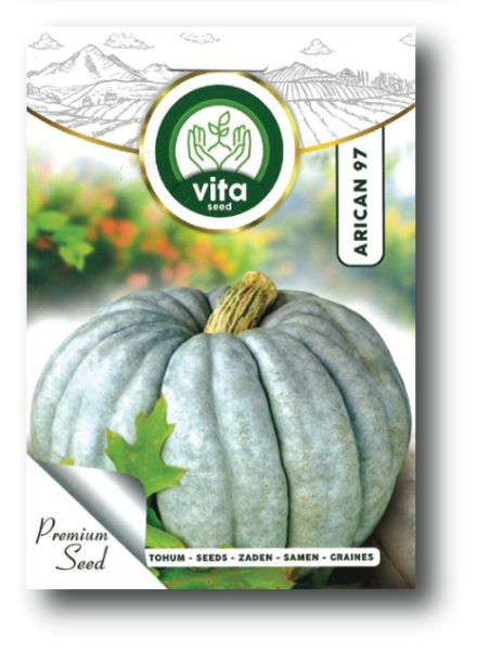 Arıcan 97 (Bal Kabağı) resmi