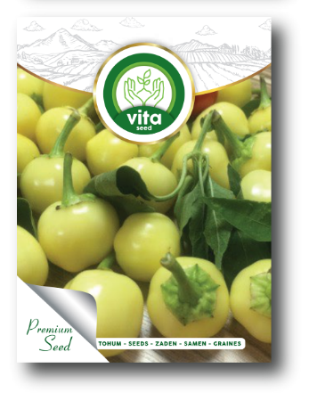 Biberiye Misket resmi