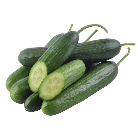 Feli̇z F1 Hıyar Tohumu resmi