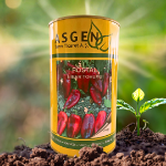 Postal Kapya Biber Tohumu 500 Gr resmi