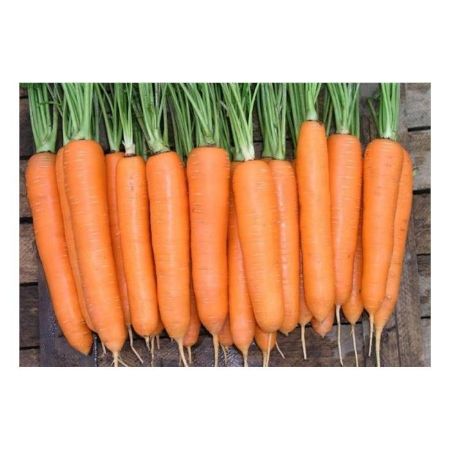 Trallyance F1 Hibrit Havuç Tohumu resmi